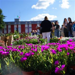 "Maranello in Primavera": una kermesse all'insegna dell'arte e della floricoltura