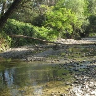 Torrente Grizzaga: nei prossimi giorni un intervento per la messa in sicurezza delle sponde 