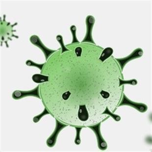 Coronavirus: a Maranello 6 nuovi casi nella giornata di oggi