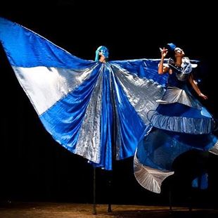 Eventi estivi: nel weekend lo spettacolo Materiaviva performance ed un concerto