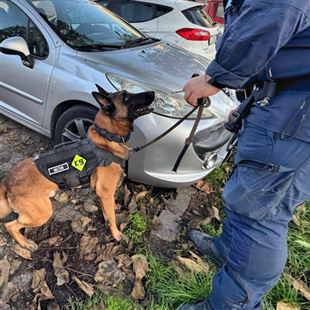 Polizia Locale di Maranello e Sassuolo in azione a piazza Unità