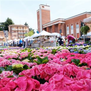 Maranello in Primavera: weekend dedicato a fiori, musica, animazioni e cibo 