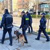 Proseguono a Maranello i controlli della Polizia Locale con l'unità cinofila