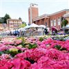 Maranello in Primavera: weekend dedicato a fiori, musica, animazioni e cibo 